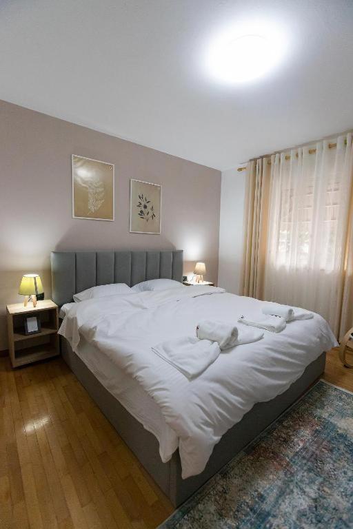 Light-2 Lovely Apartment In 地拉那 外观 照片